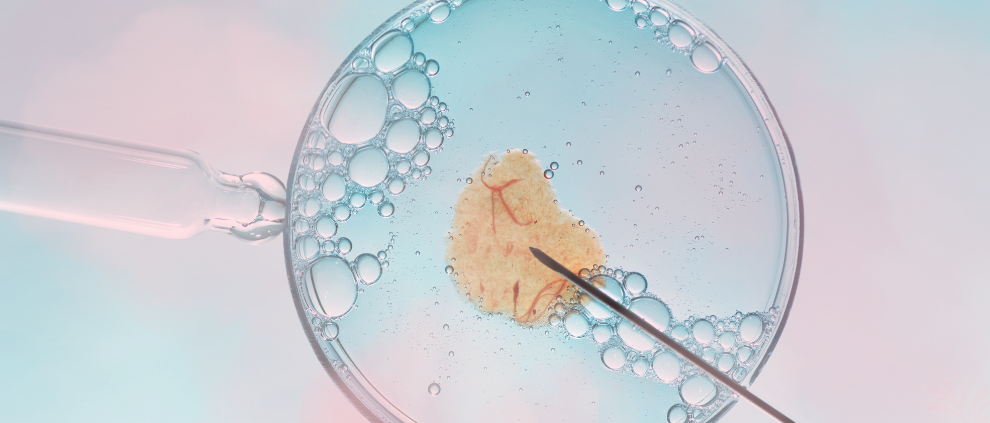 DESVENDANDO A FERTILIZAÇÃO IN VITRO: UMA JORNADA DE POSSIBILIDADES